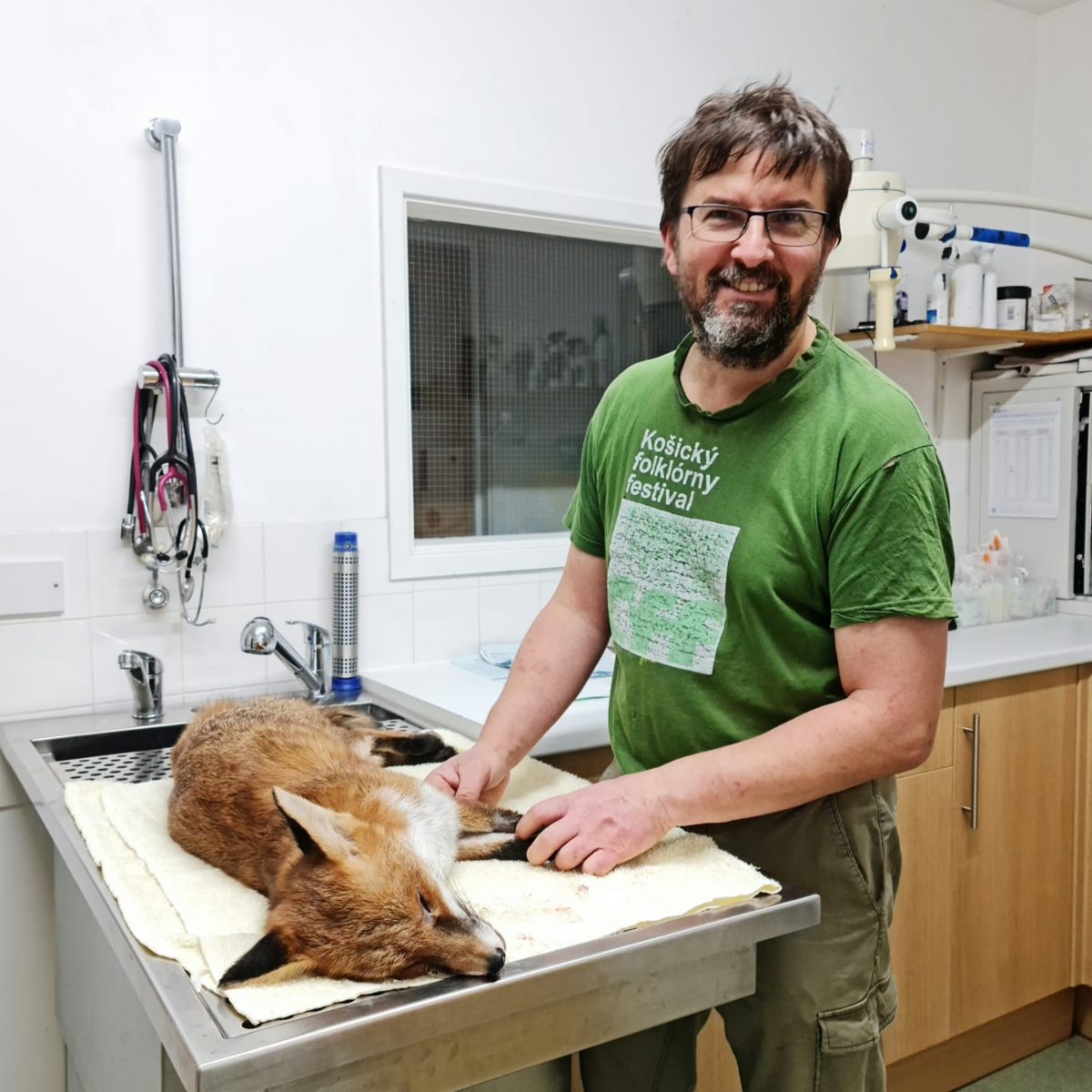 The vet with the fox
