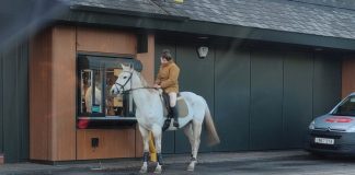 The horse and rider stood at McDonald's drive-thru.
