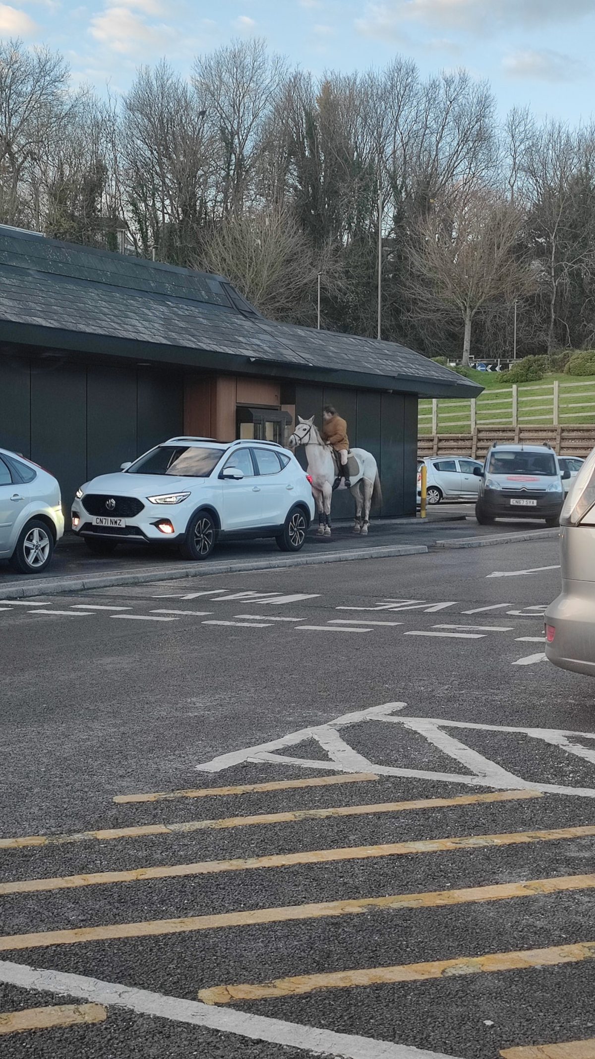 Horse and rider paying at McDonald's drive-thru.