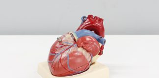 Heart Valve Voice highlight need for change - News