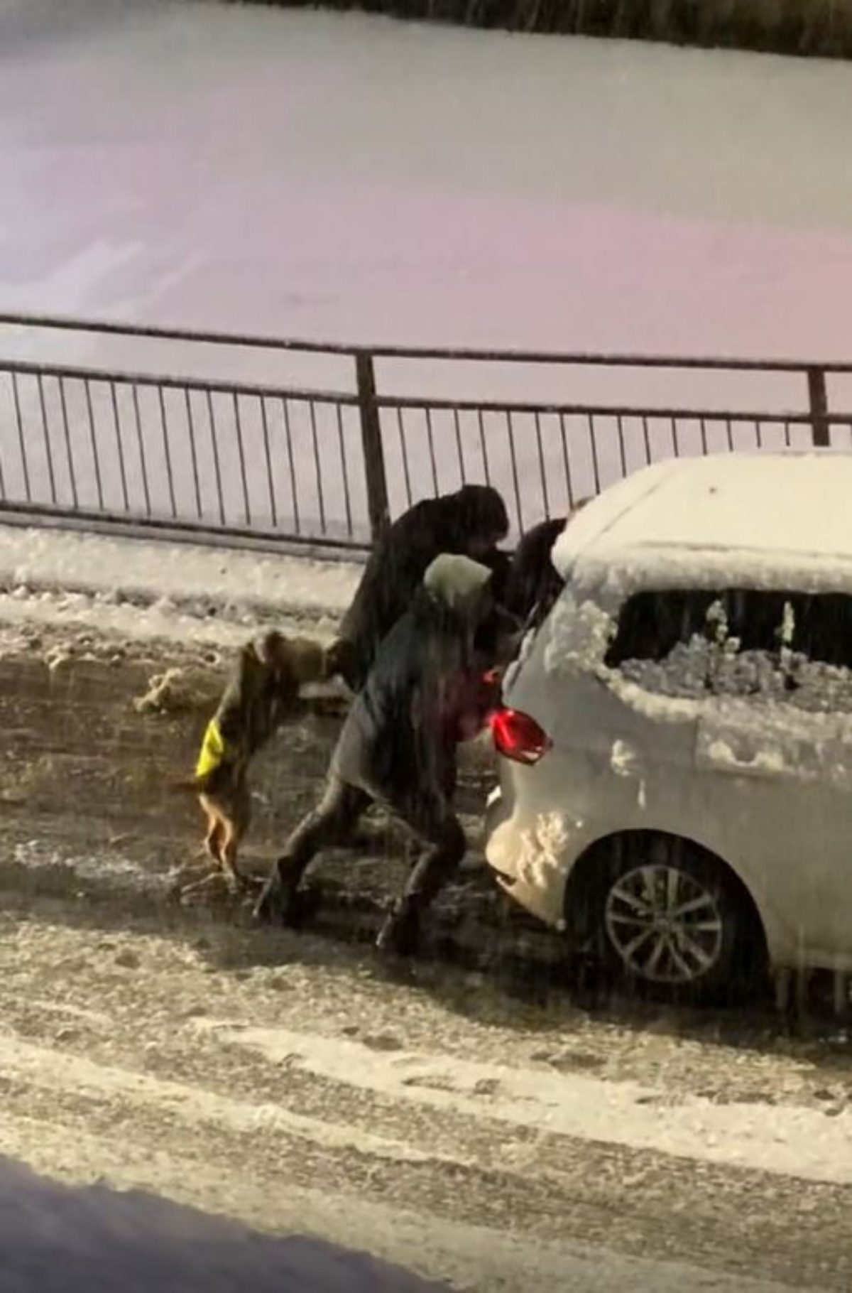 Three men push the car with the dog