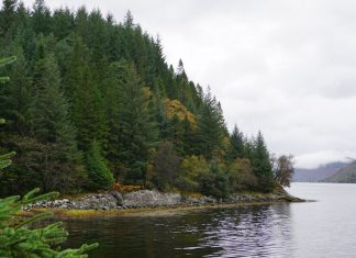 The shores of Loch Long, near the proposed site of Ben Raithe farm.