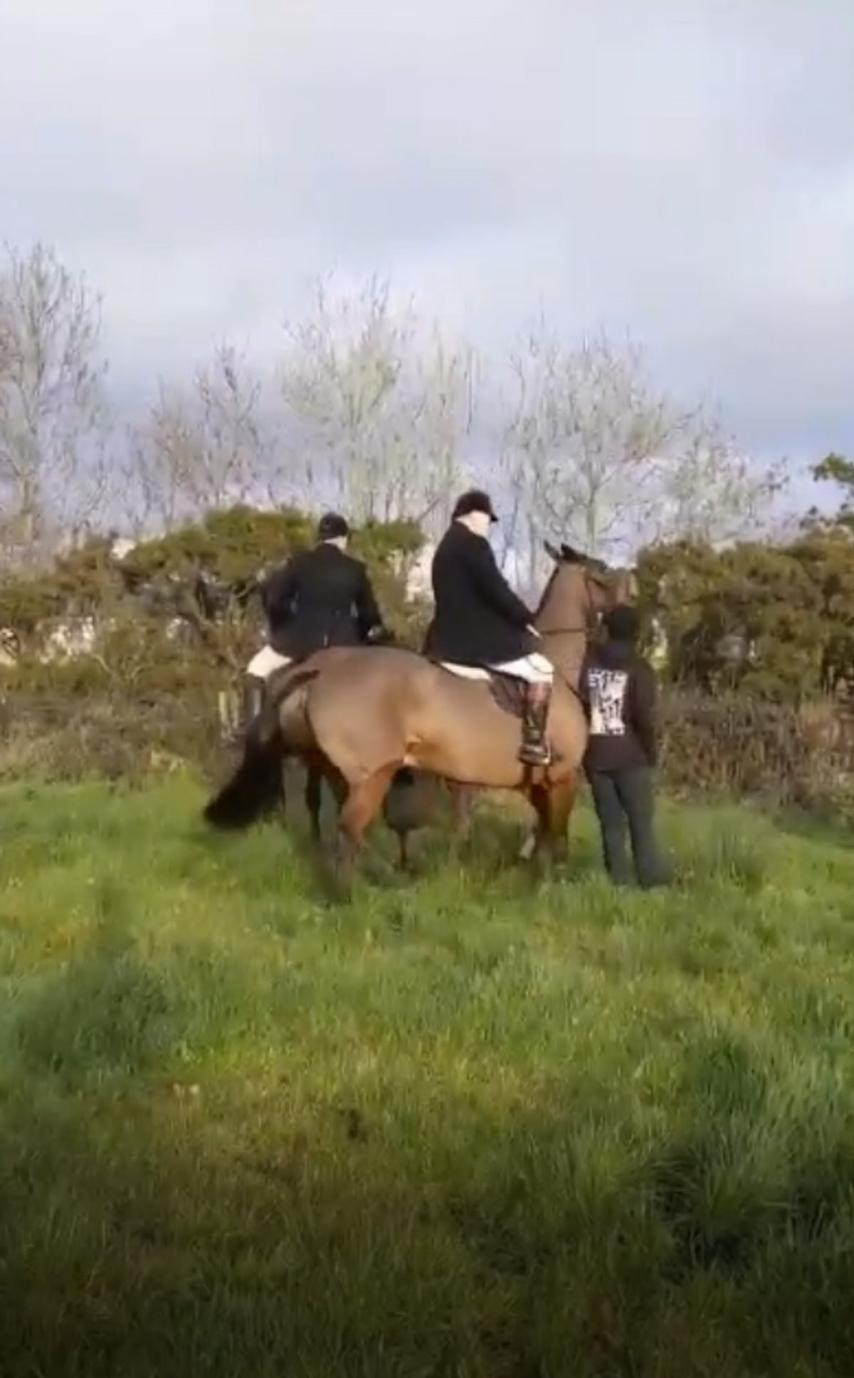 The huntsman forced his horse into the sabs