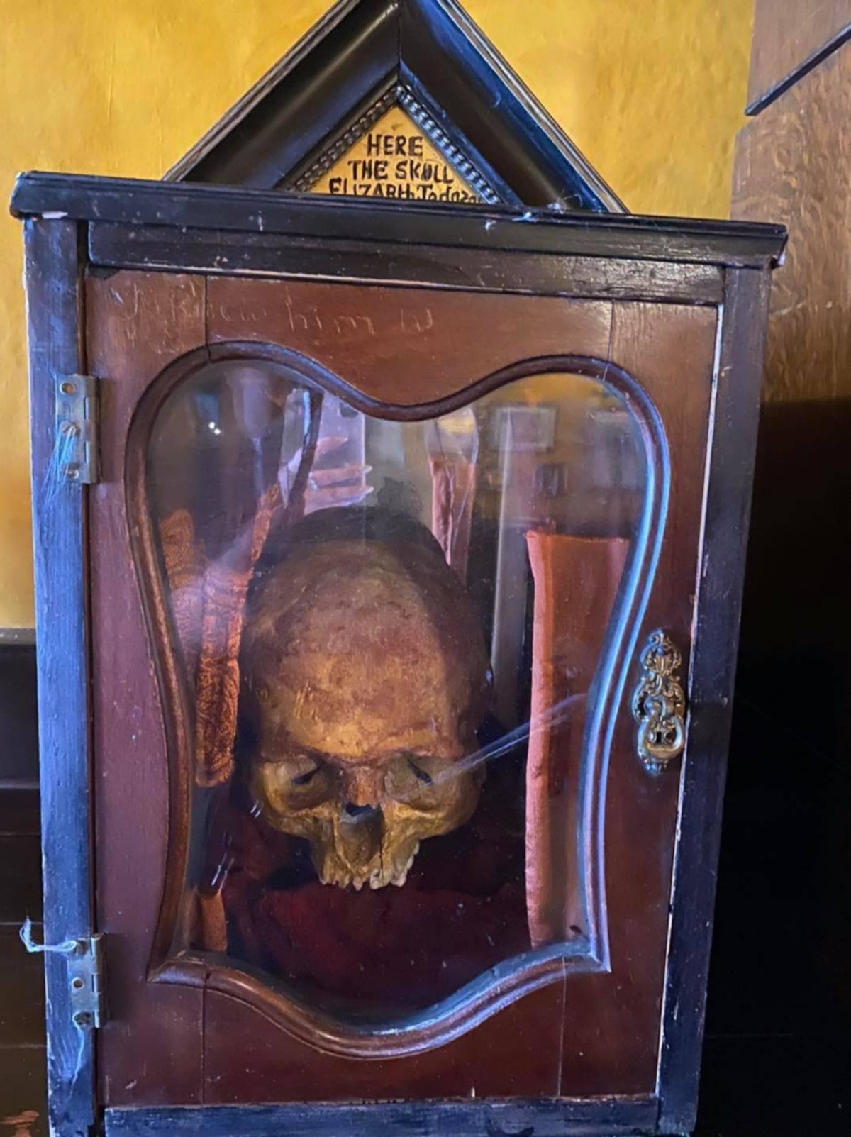 Elizabeth Johnson's "skull" locked in the cabinet.