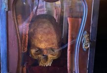 Elizabeth Johnson's "skull" locked in the cabinet.