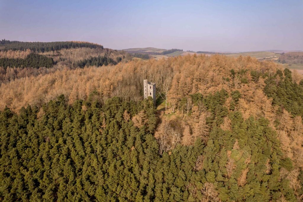 The tower is surrounded by trees