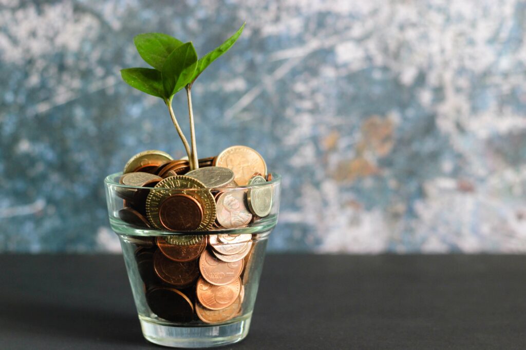 Coins in a jar with plant growing.