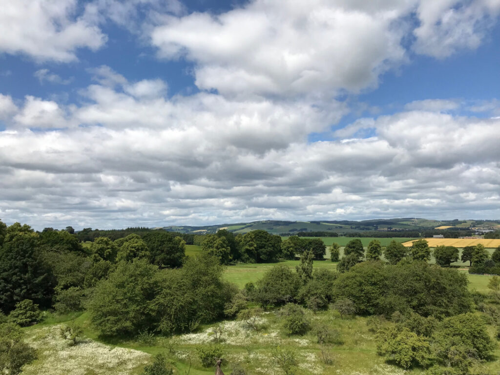 Scottish farm view.