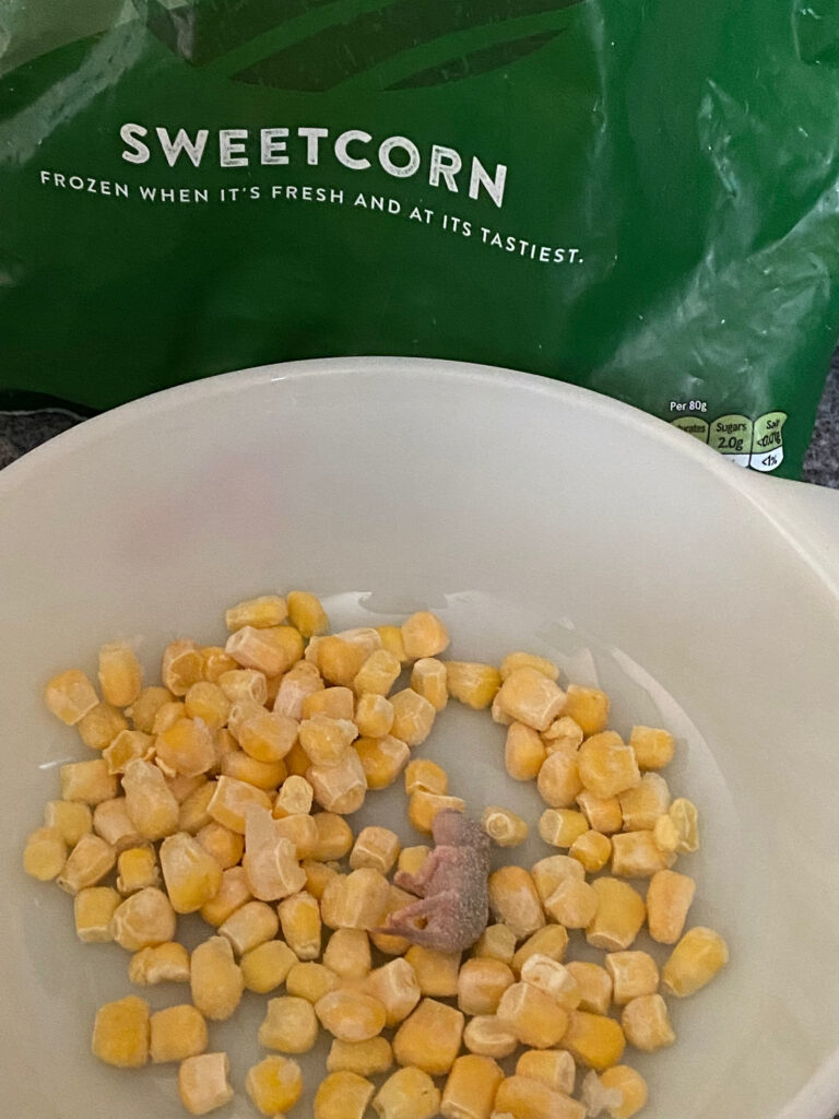 The frozen mouse was at the bottom of the bag of sweetcorn