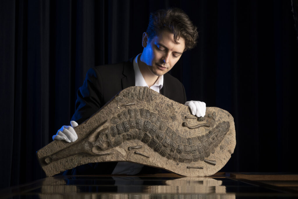 McTear's specialist James Spiridion with the crocodile fossil.