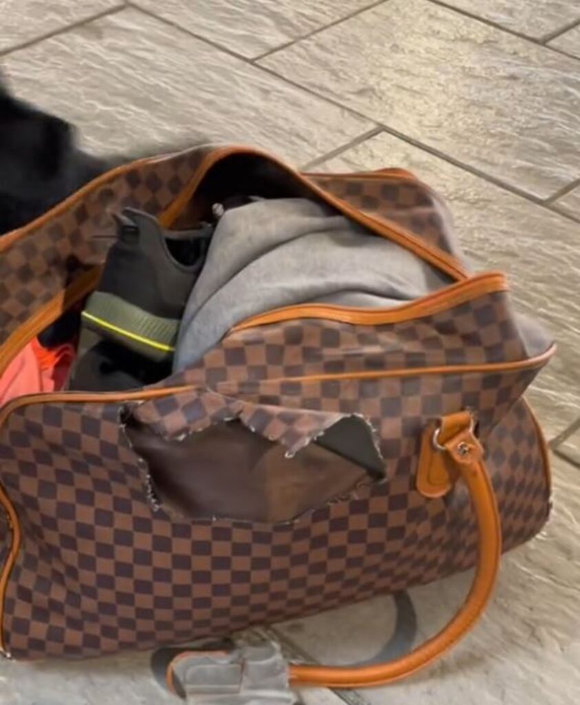 The Louis Vuitton holdall
