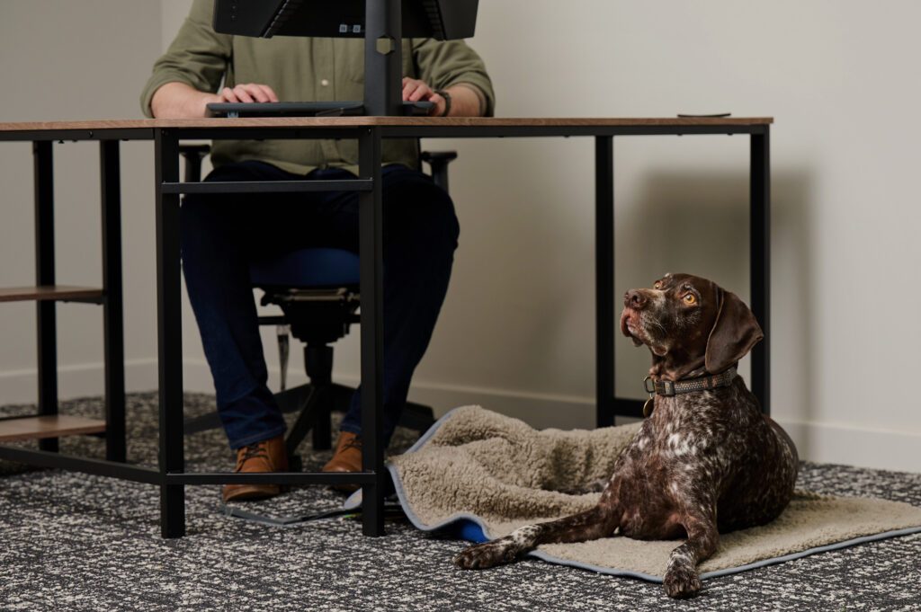 An employee sitting at a desk with dog at his feet.