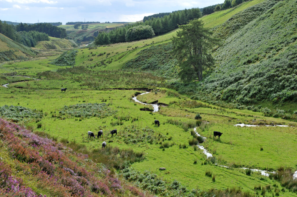 A photo of the landscape at Glenshaugh in Aberdeenshire, where one of the sustainabilty projects will be based.