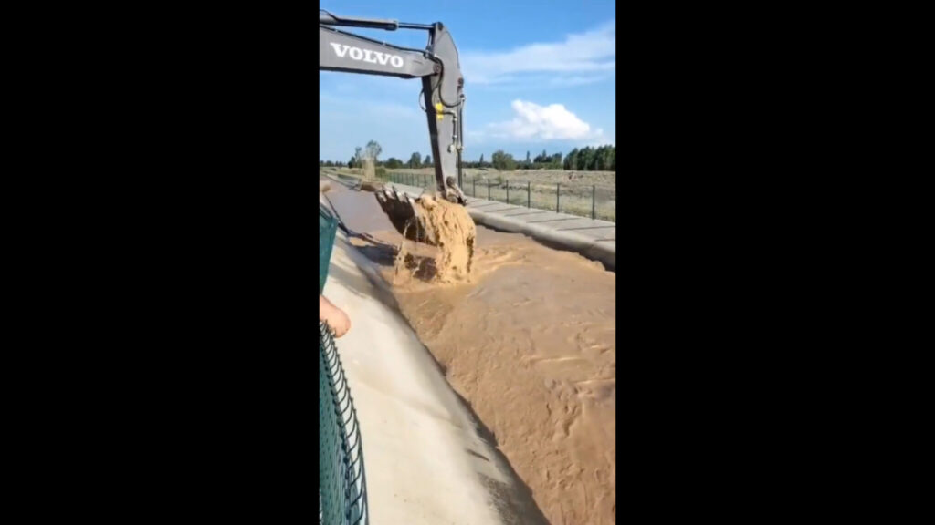 Crane operator saves calf from irrigation canal in Turkey.