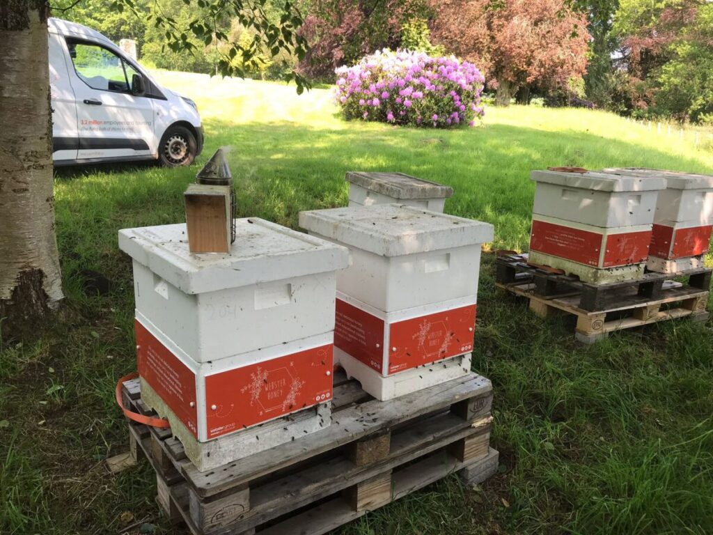 Beehives on the Craigsanquhar Estate