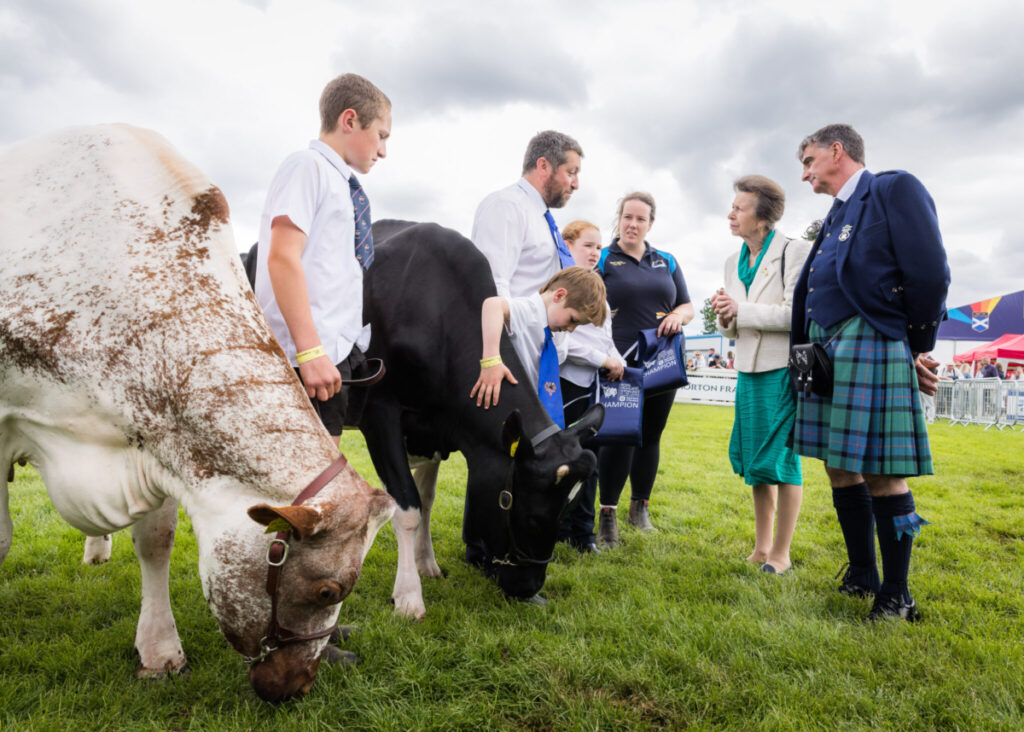 Princess Anne with a cow at the Royal Highland Show
