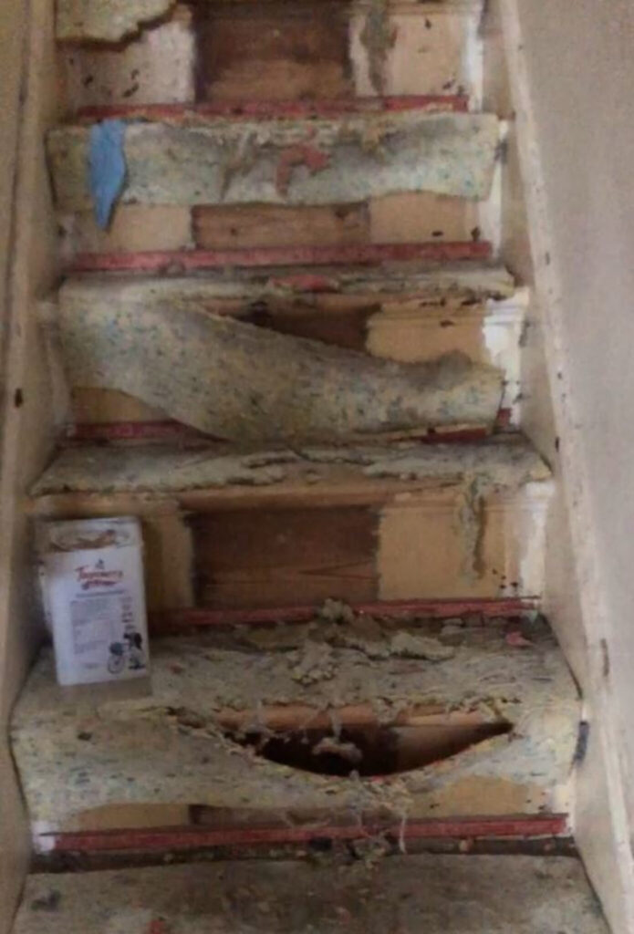 The stairs appearing ripped.