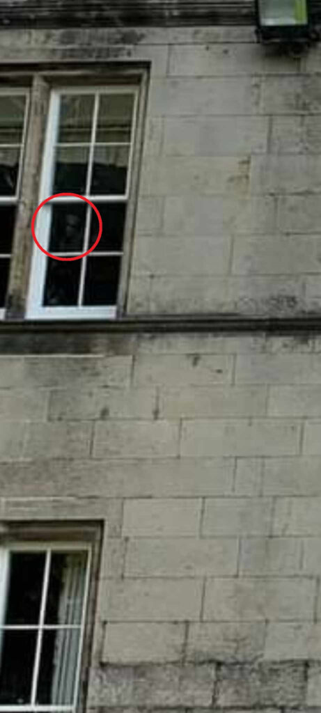 A close-up of the alleged ghost.