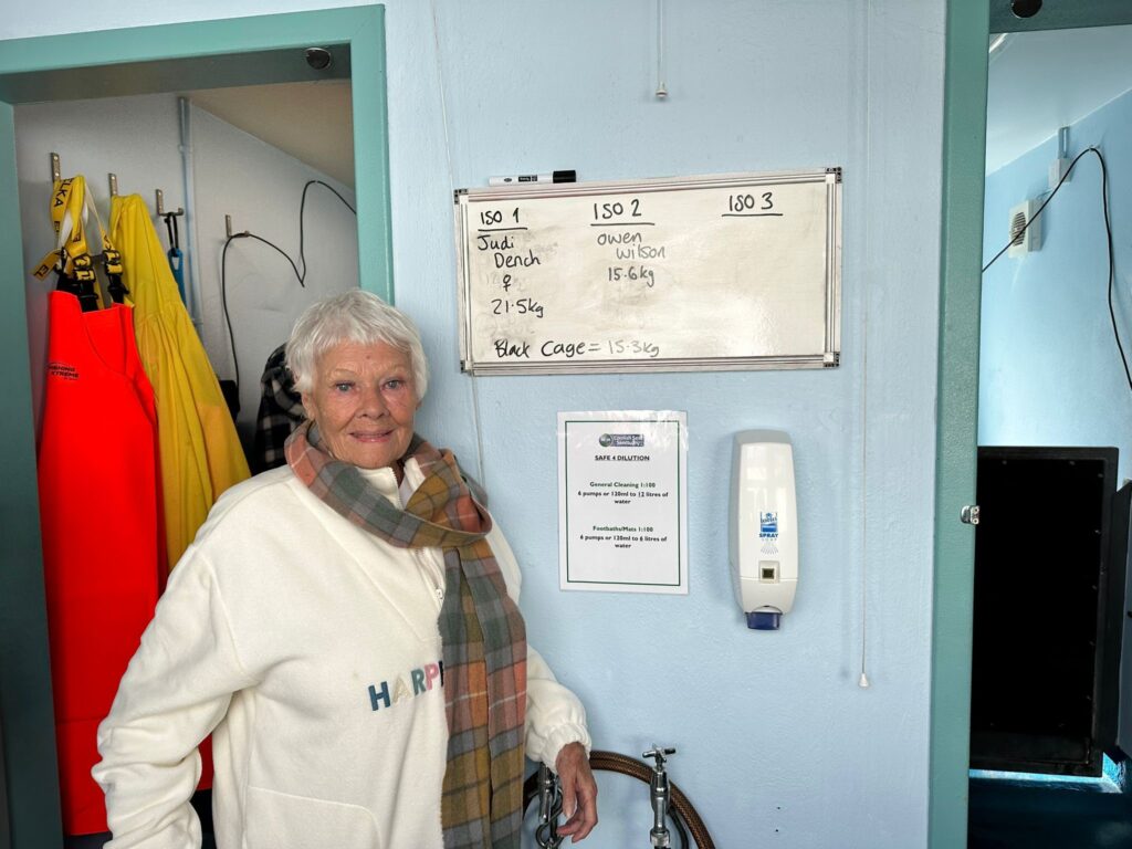 Dame Judi Dench pictured at the Cornish Seal Sanctuary