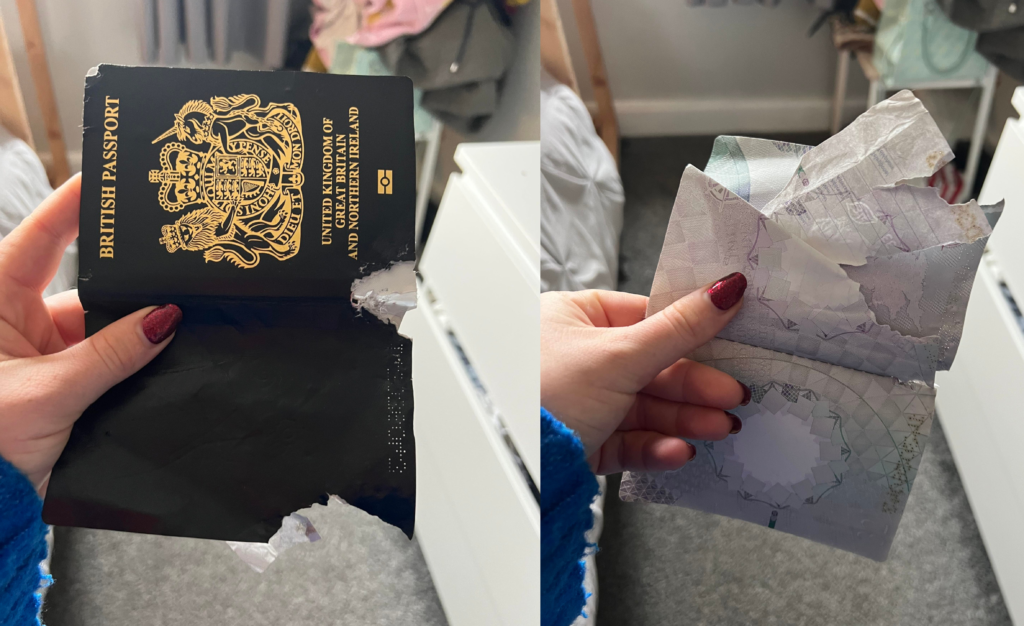 Both sides of the passport.