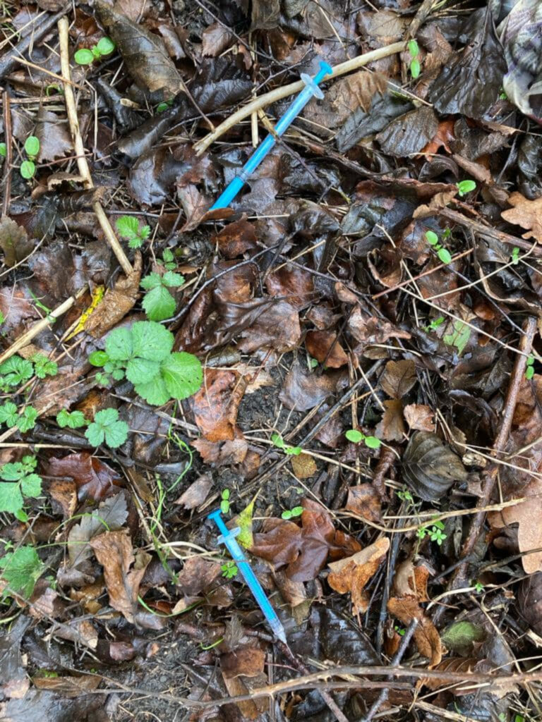Needles lay strewn across the park