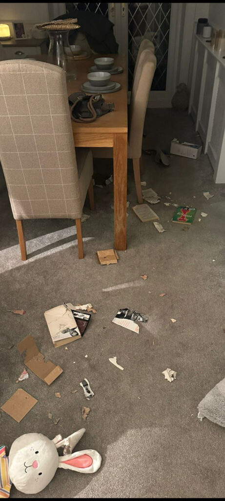The destroyed books on the floor.