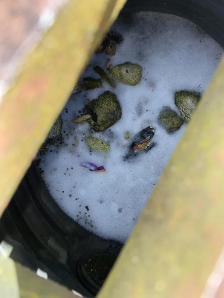 The green polystyrene in the drain