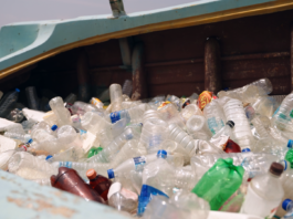 A bin filled with single use plastic bottles. Image supplied with release by Hot Tin Roof