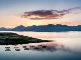 A Scottish fish farm. Image supplied with release by SAIC
